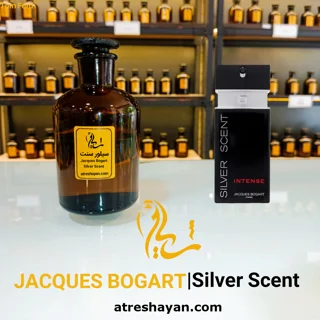 عطر جکس بوگارت سیلور سنت (از سمپل ۵ میل تا ۱۰۰ میل) | عطر شایان
